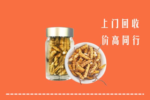 台州市椒江区回收冬虫夏草